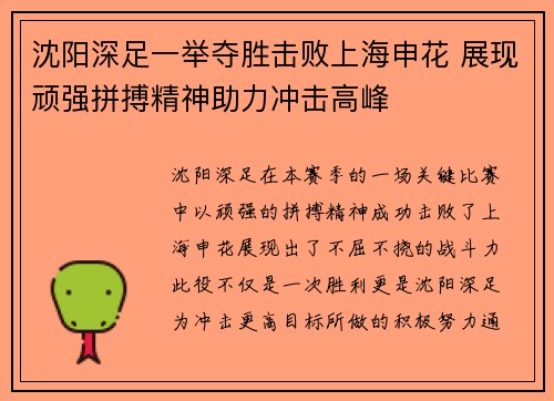 沈阳深足一举夺胜击败上海申花 展现顽强拼搏精神助力冲击高峰