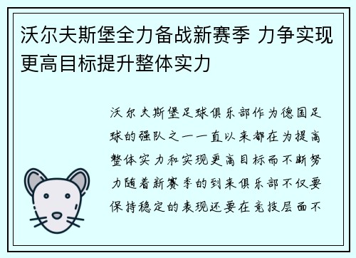 沃尔夫斯堡全力备战新赛季 力争实现更高目标提升整体实力