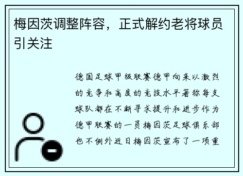 梅因茨调整阵容，正式解约老将球员引关注