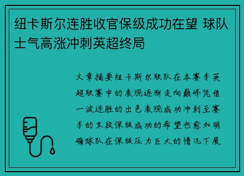 纽卡斯尔连胜收官保级成功在望 球队士气高涨冲刺英超终局